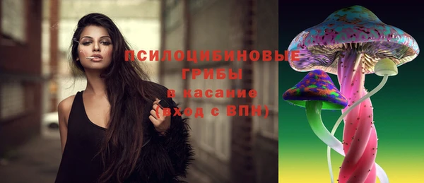 mix Елабуга