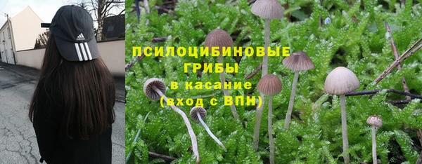 альфа пвп Елизово