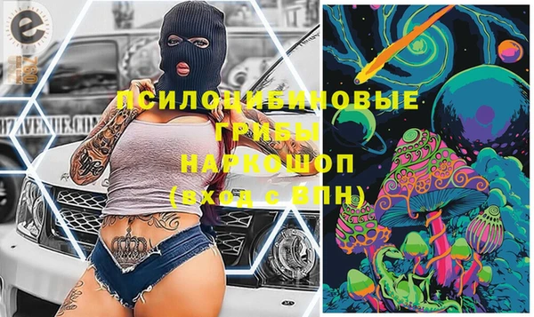 альфа пвп Елизово