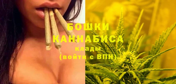 соль курить ск Ельня