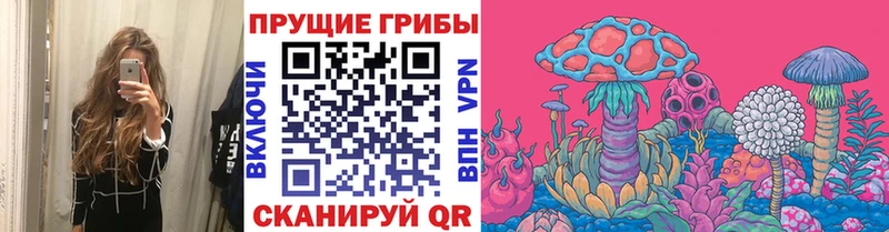 это клад  Семёнов  Галлюциногенные грибы Magic Shrooms 
